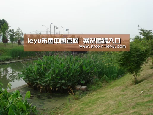 案例展示四(图1)