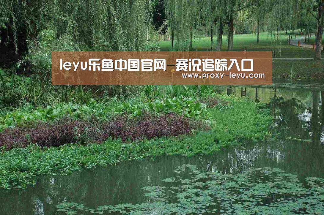 案例展示一(图1)