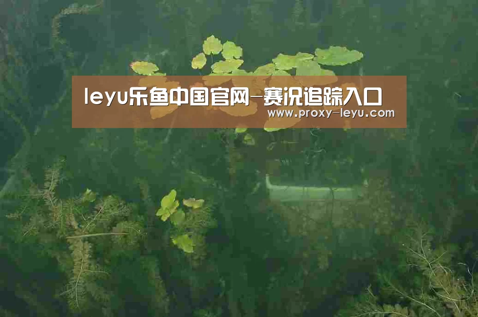 案例展示三(图1)