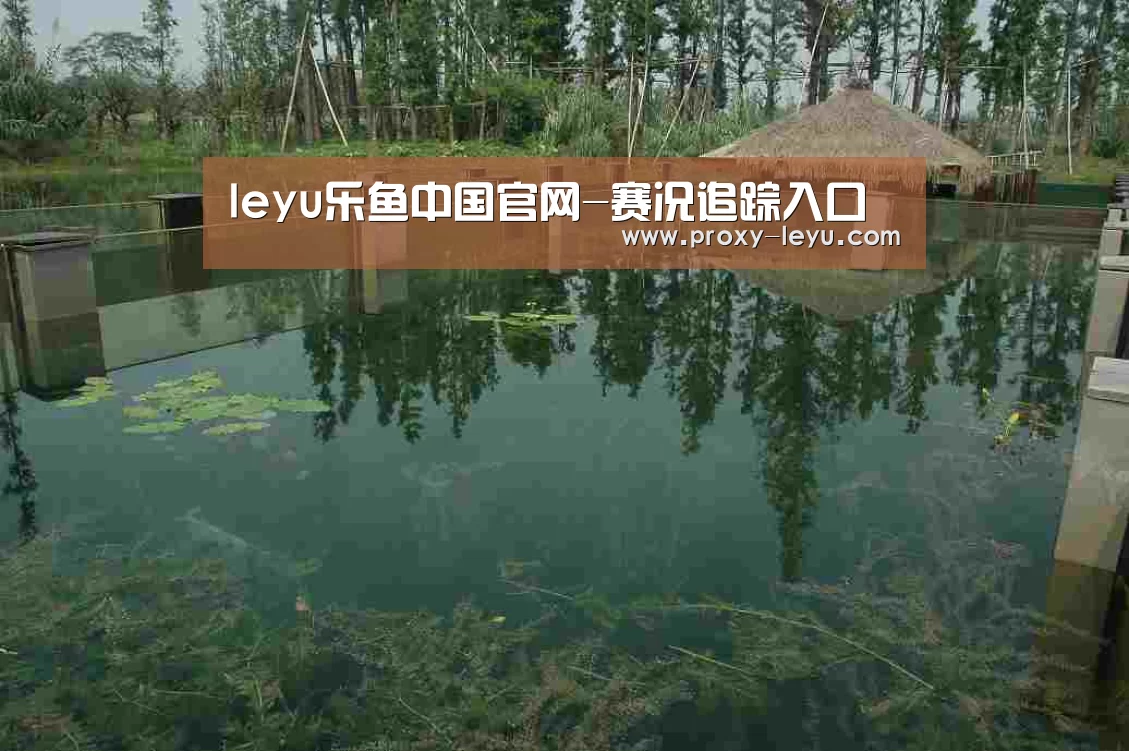 案例展示二(图1)
