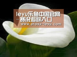 产品名称七