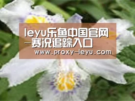 产品名称二