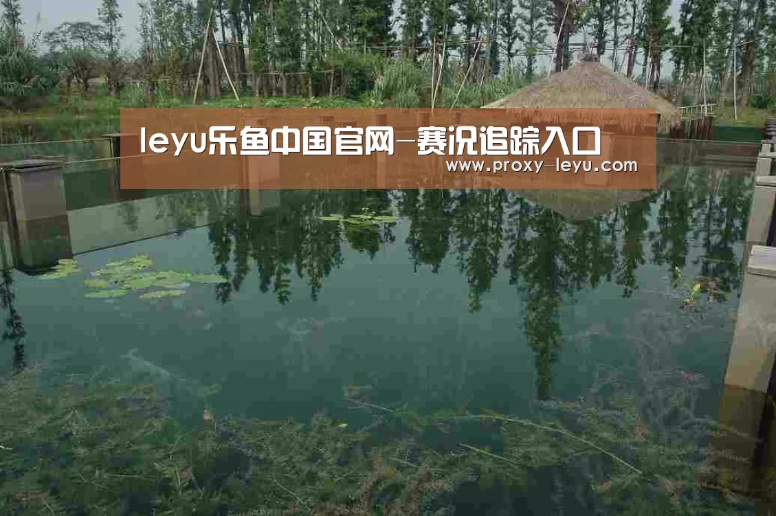 案例展示二