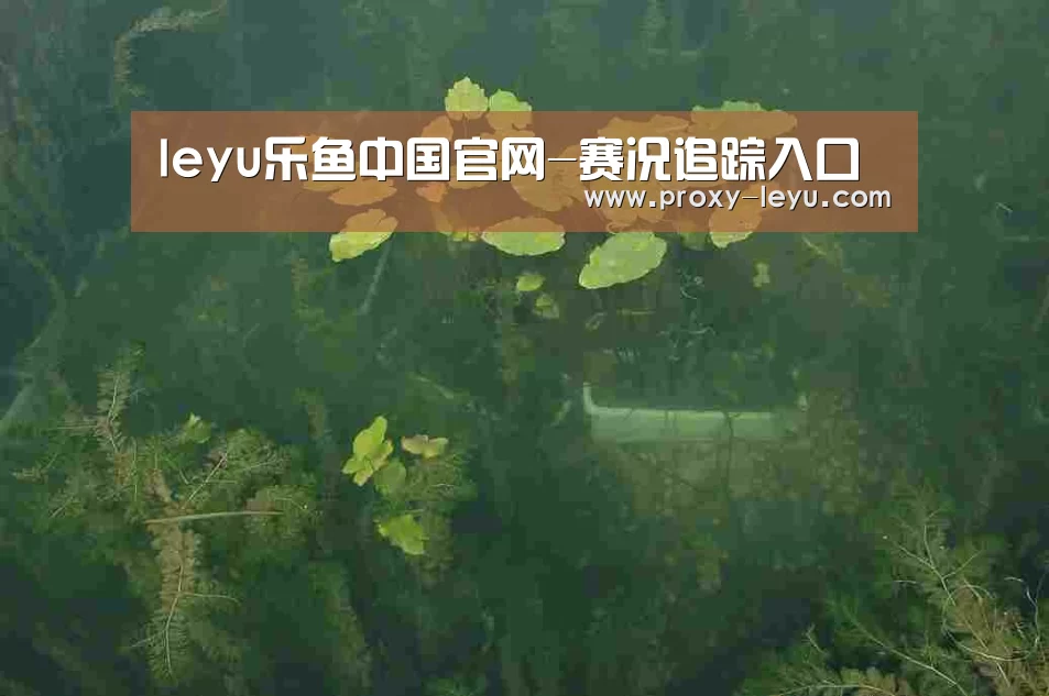 案例展示三