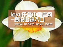 产品名称四