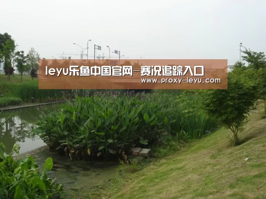 案例展示四