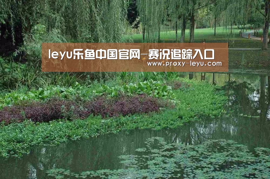 案例展示一