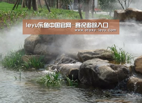 案例展示五