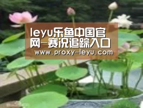 产品名称一