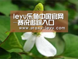产品名称三