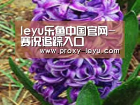 产品名称八