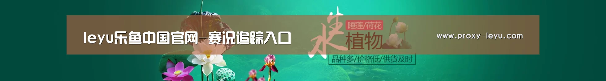 鲜花水草花卉网站模板
