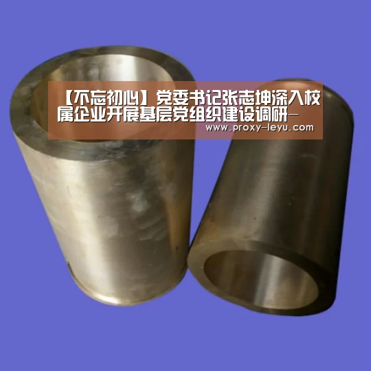 【不忘初心】党委书记张志坤深入校属企业开展基层党组织建设调研-乐鱼体育(图4) 乐鱼