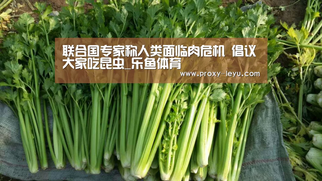 联合国专家称人类面临肉危机 倡议大家吃昆虫_乐鱼体育(图3) leyu中国官网