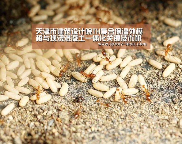 天津市建筑设计院TH复合保温外模板与现浇混凝土一体化关键技术研究获国家技术专利_leyu(图3) 乐鱼体育