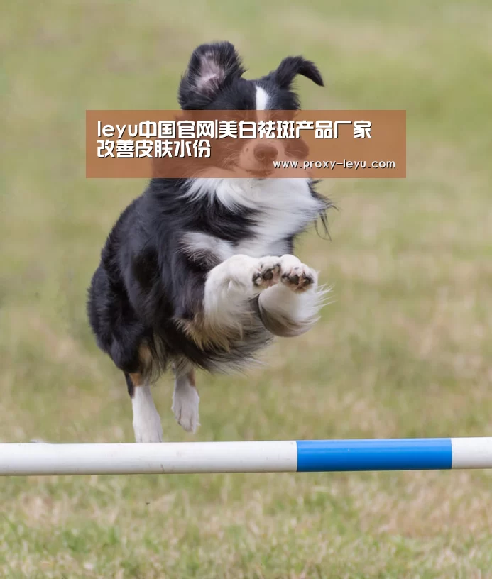 leyu中国官网