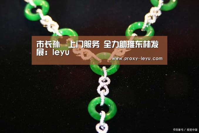 市长孙喆上门服务 全力助推东林发展:leyu(图2) 市长孙喆上门服务 全力助推东林发展:leyu(图2)