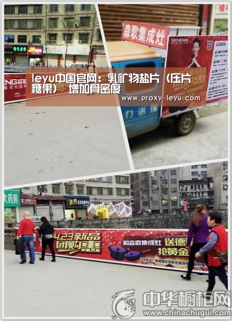 leyu中国官网:乳矿物盐片(压片糖果) 增加骨密度(图3) 乐鱼体育