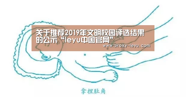 关于推荐2019年文明校园评选结果的公示“leyu中国官网”(图2) 乐鱼体育