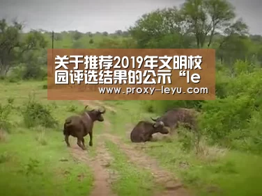 关于推荐2019年文明校园评选结果的公示“leyu中国官网”(图4) leyu中国官网