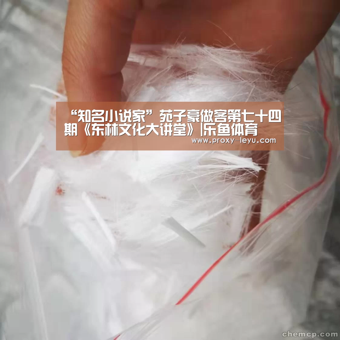 “知名小说家”苑子豪做客第七十四期《东林文化大讲堂》|乐鱼体育(图3) 乐鱼体育