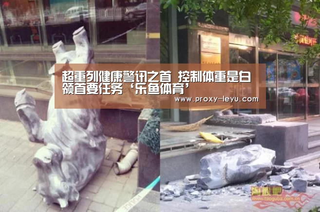 超重列健康警讯之首 控制体重是白领首要任务‘乐鱼体育’(图2) leyu中国官网