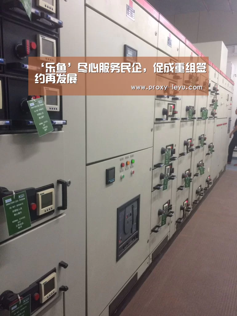 ‘乐鱼’尽心服务民企，促成重组签约再发展(图4)
