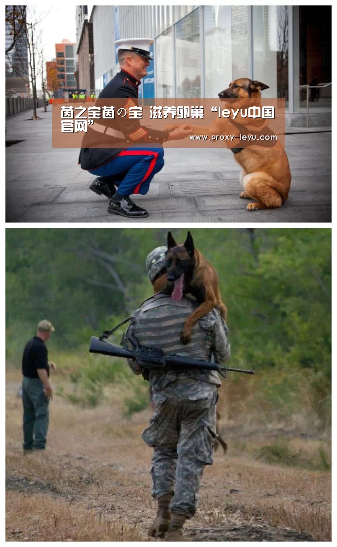 茵之宝茵の宝 滋养卵巢“leyu中国官网”(图1) leyu中国官网
