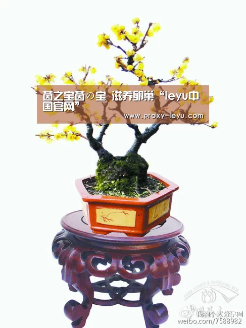 茵之宝茵の宝 滋养卵巢“leyu中国官网”(图3) 乐鱼