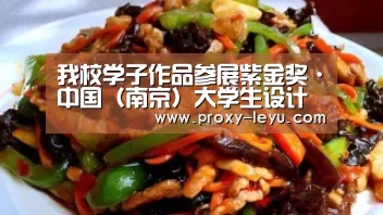 我校学子作品参展紫金奖·中国(南京)大学生设计展‘乐鱼’(图2) 乐鱼