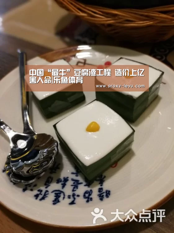 中国“最牛”豆腐渣工程 造价上亿害人命|乐鱼体育(图2) 乐鱼