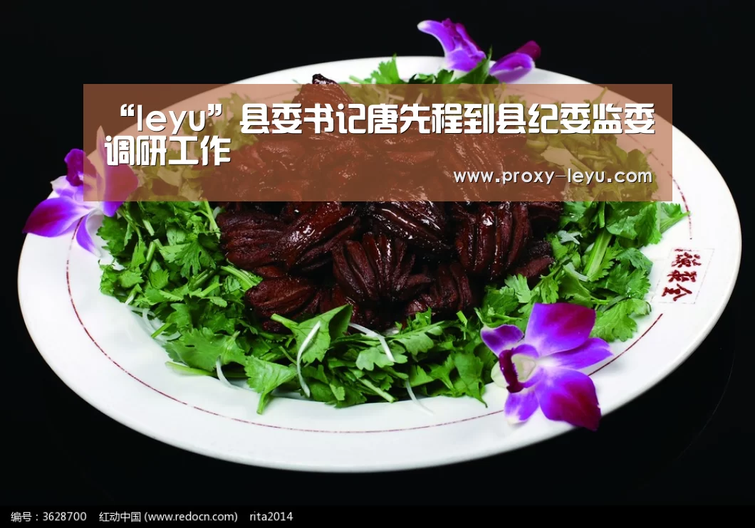 “leyu”县委书记唐先程到县纪委监委调研工作(图3) leyu中国官网
