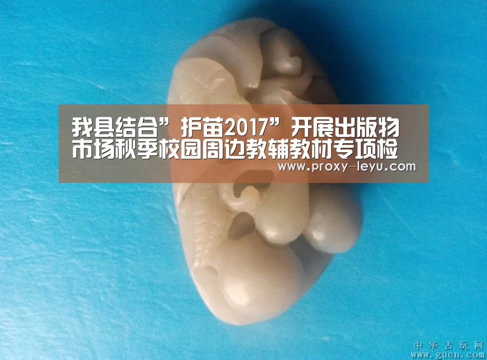我县结合”护苗2017”开展出版物市场秋季校园周边教辅教材专项检查|leyu中国官网(图2) leyu中国官网