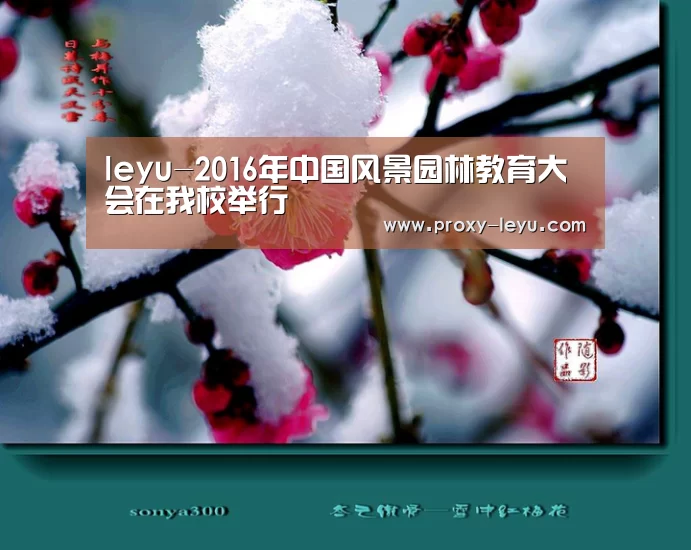 leyu中国官网