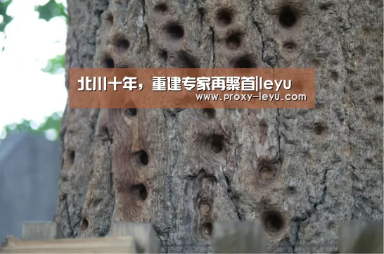 北川十年,重建专家再聚首|leyu
